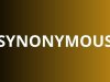 Information Synonym Alternatives