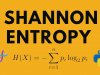 Unveiling the Concept of Information Entropy